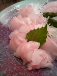 2010082120440000.jpg