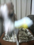 2009090518360000.jpg