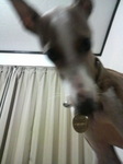 2009091920060000.jpg