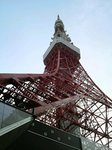 P1000110.jpg