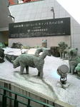 P1000113.jpg