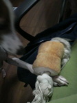 2009102320020001.jpg