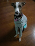 2009102418250000.jpg