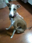 2009102520540001.jpg