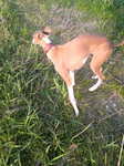 2009102916290000.jpg