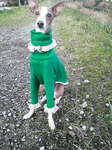 2009111321480000.jpg