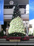 2009112422450000.jpg