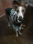 2009120720090000.jpg