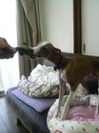2009121916110003.jpg