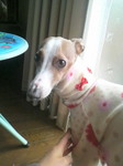 2010020214090001.jpg
