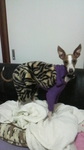 2010020520450000.jpg