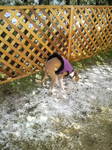 2010020611380004.jpg