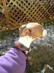 2010020611390001.jpg