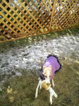 2010020611390002.jpg