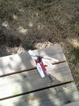 2010020711280004.jpg