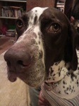 2010011622590000.jpg