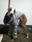 2010021223530000.jpg