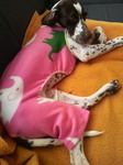 2010021216390002.jpg