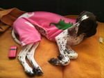 2010021216430000.jpg