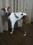 2010021522110001.jpg