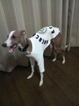 2010021522120002.jpg