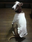 2010021522140001.jpg