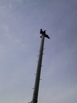 2010022515550000.jpg