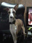 2010022518070001.jpg