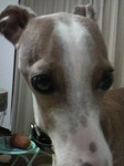 2010022518070002.jpg