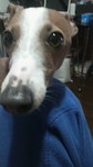 2010022619030000.jpg