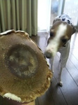 2010022817390000.jpg