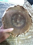 2010022817410000.jpg