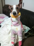 2010030820050002.jpg