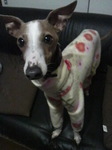 2010031519300000.jpg