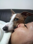 2010032017550002.jpg