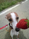 2010032113420000.jpg