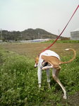 2010032113410001.jpg