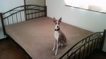 2010050120540000.jpg