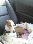 2010050216210000.jpg
