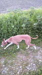 2010050417240001.jpg