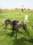 2010050513590001.jpg