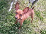 2010050515240000.jpg
