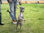 2010050515320000.jpg