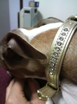 2010050619500000.jpg