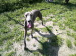 2010051018040000.jpg