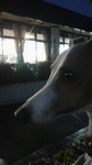 2010051919030000.jpg