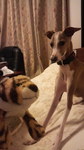 2010051923010000.jpg