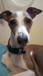 2010052508560003.jpg