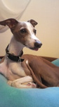 2010052508560002.jpg
