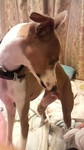 2010052620340000.jpg